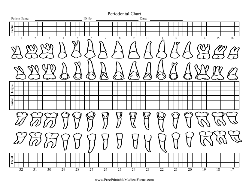 Free Printable Blank Perio Chart Printable Word Searches 21840 The