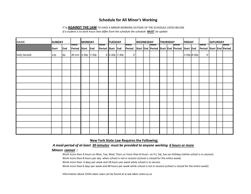 Weekly Schedule Template for All Minor's Working