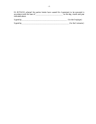 Contract Templates - Annex to the Particular Conditions, Page 4