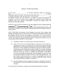 Contract Templates - Annex to the Particular Conditions, Page 7