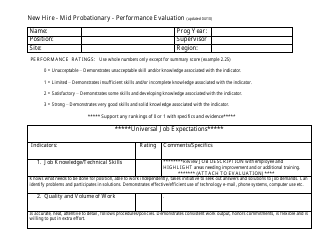 New Hire Mid Probationary Performance Evaluation Template