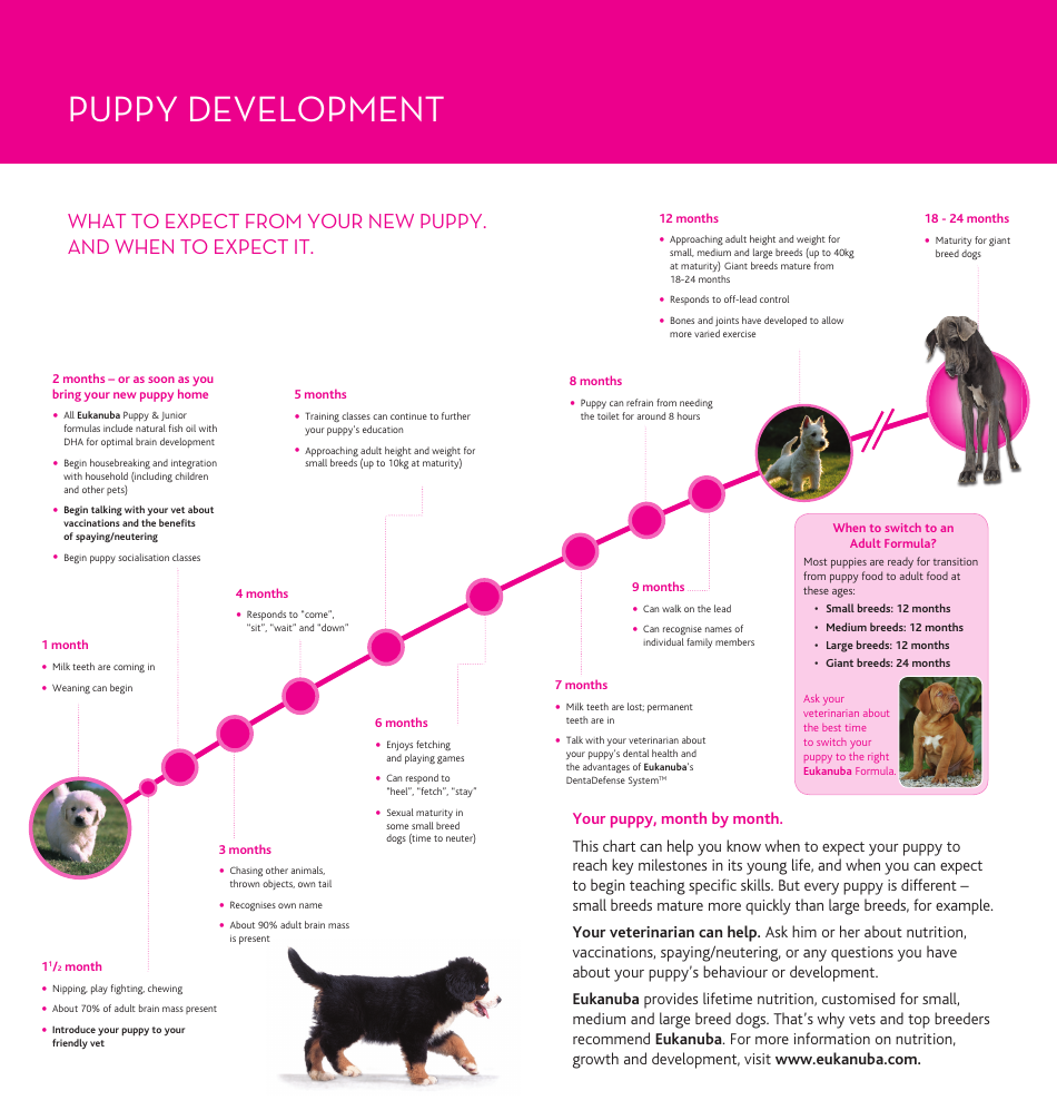 Puppy Development Chart - Eukanuba