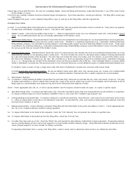 Form UCC11 Information Request - Texas, Page 2
