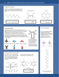 &quot;Chemical Bonds and Biological Molecules Reference Sheet&quot;