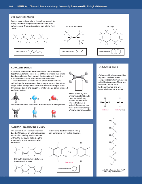 &quot;Chemical Bonds and Biological Molecules Reference Sheet&quot; Download Pdf