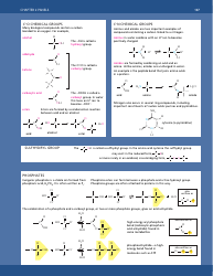 Chemical Bonds and Biological Molecules Reference Sheet, Page 2