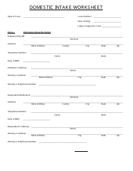 Document preview: Domestic Intake Worksheet Template
