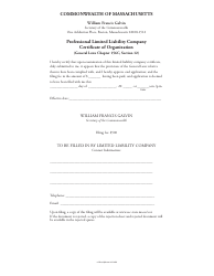 Professional Limited Liability Company Certificate Form of Organization - Massachusetts, Page 3