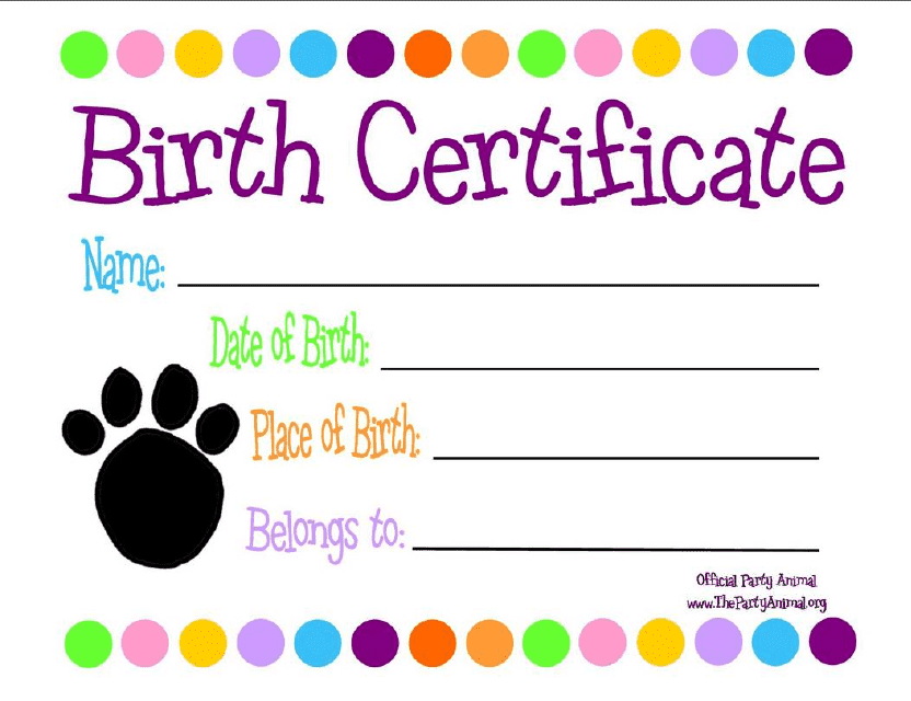 Animal Birth Certificate Template - Free printable birth certificate template for animals