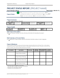Project Status Report Form - Texas, Page 2