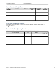 Project Status Report Form - Texas, Page 3