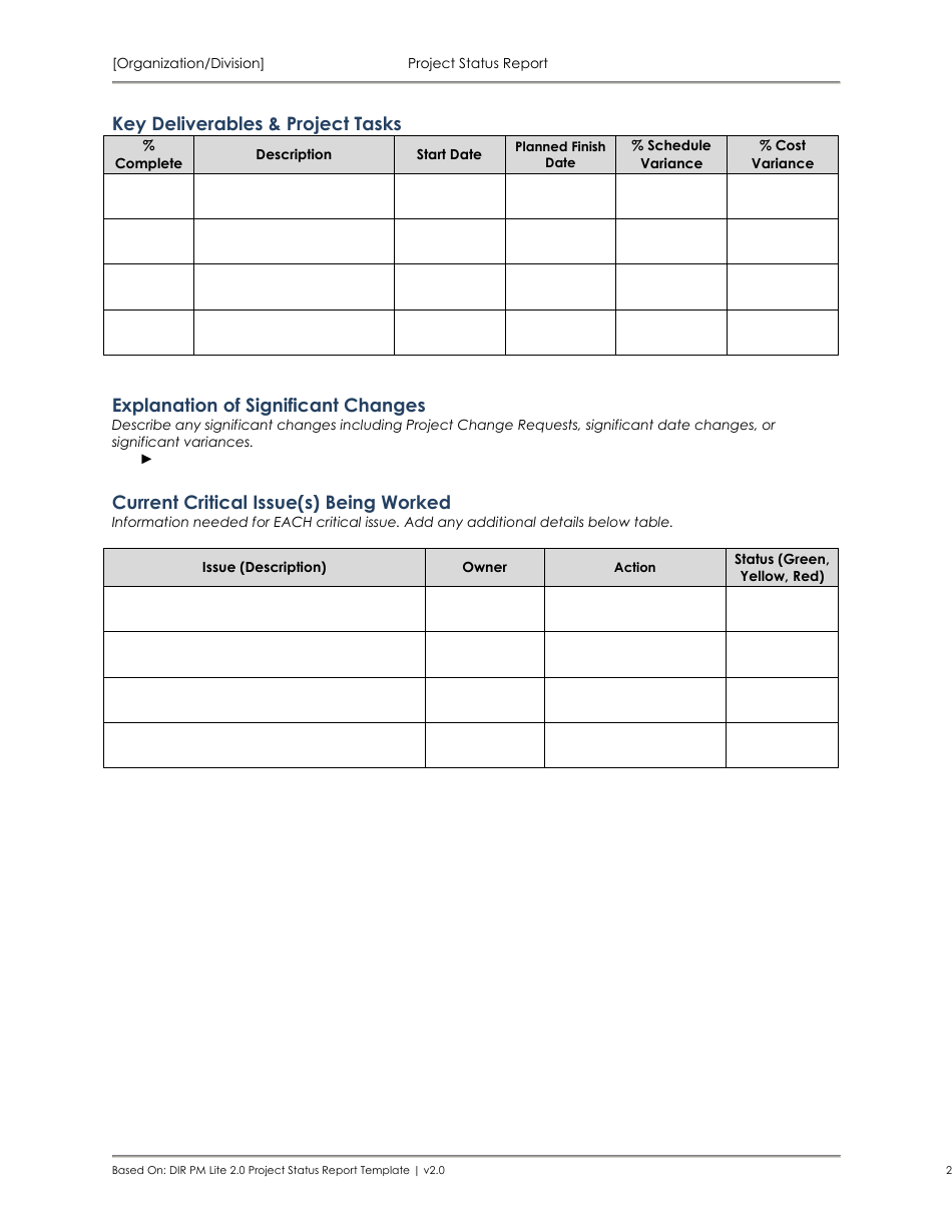 Project Status Report Form - Texas, Page 3