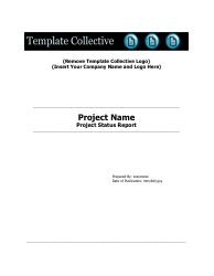Document preview: Project Status Report Template - Tenstep