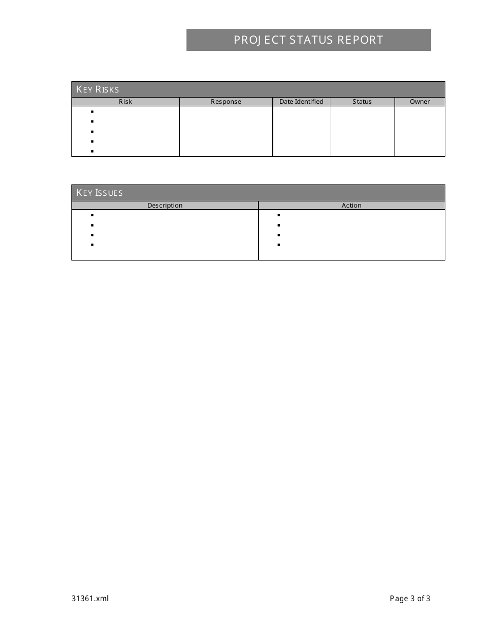 Project Status Report Template - Different Tables, Page 3