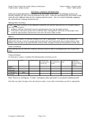 Sample Project Status Report Template - for Month Ending, Page 3