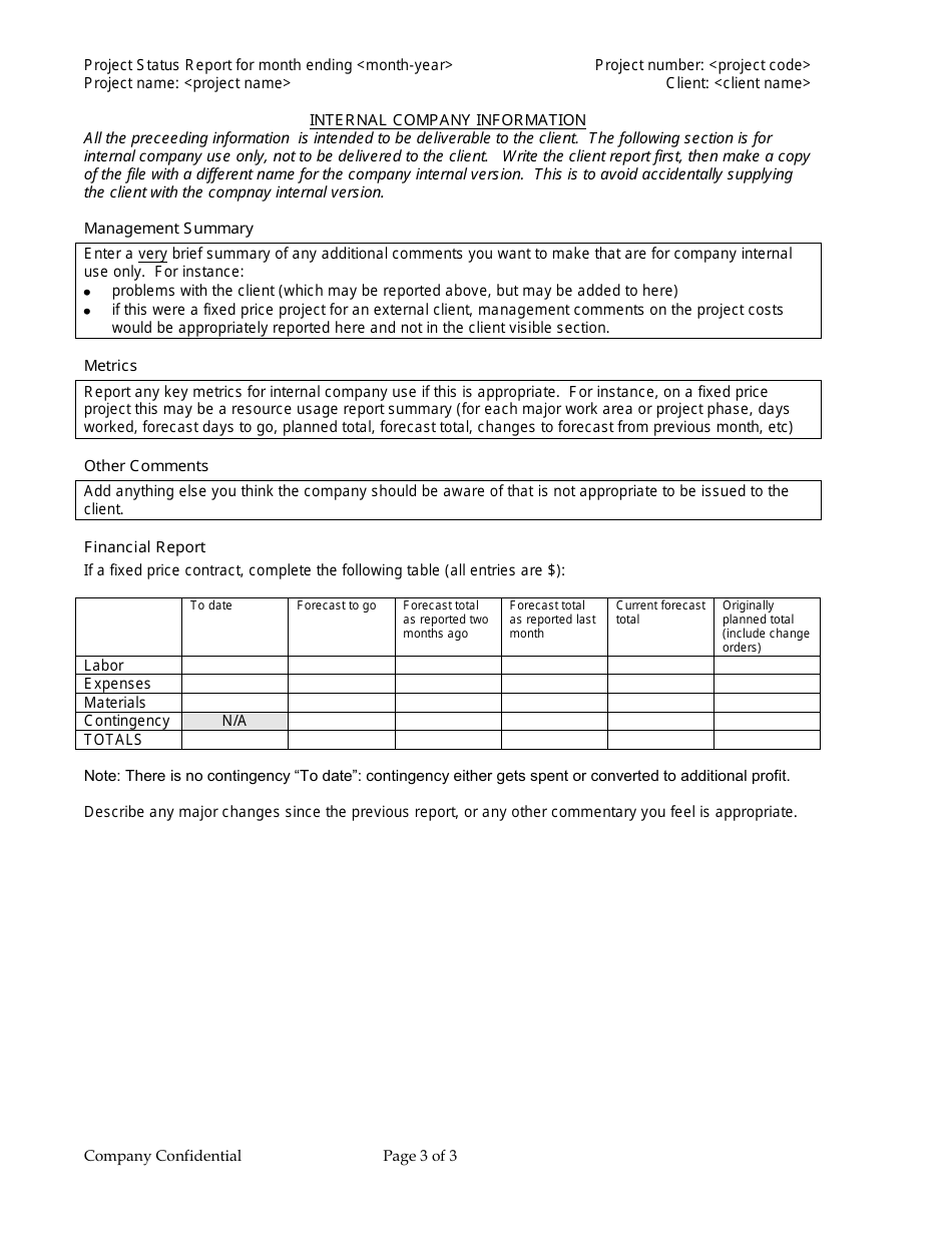 Sample Project Status Report Template - for Month Ending, Page 3
