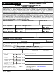 Document preview: VA Form 0928h Volunteer Application