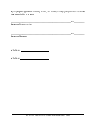 Power of Attorney Template - Illinois, Page 3