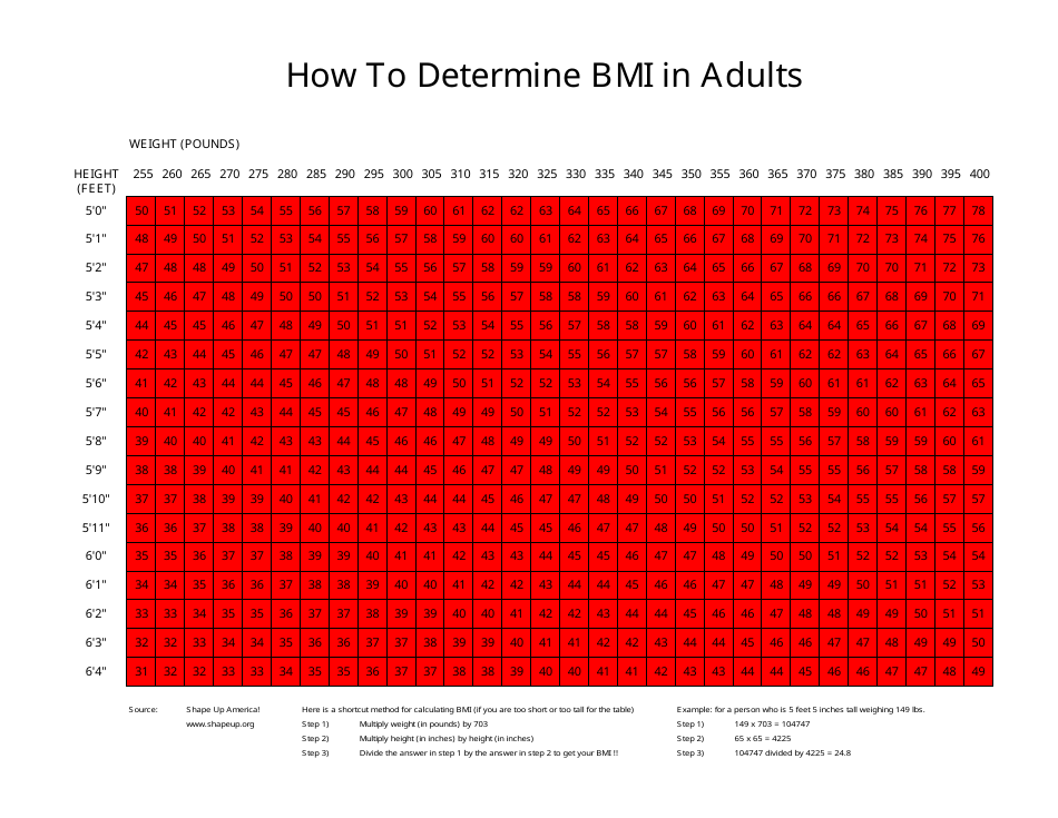 BMI Chart for Adults - Visual Guide and Calculator