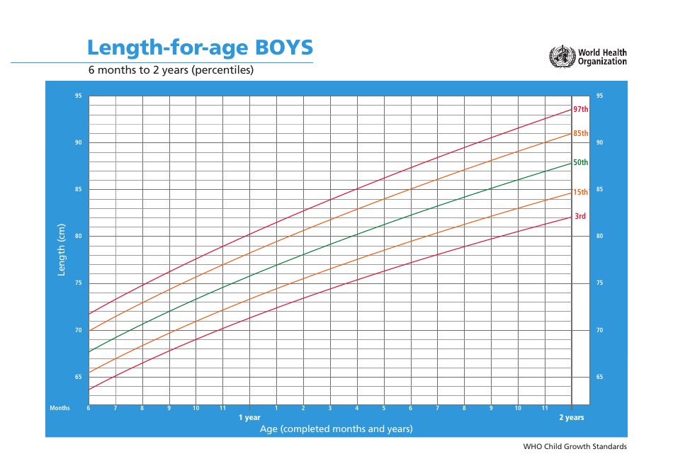 who-boys-growth-chart-length-for-age-6-months-to-2-years-percentiles-download-printable-pdf