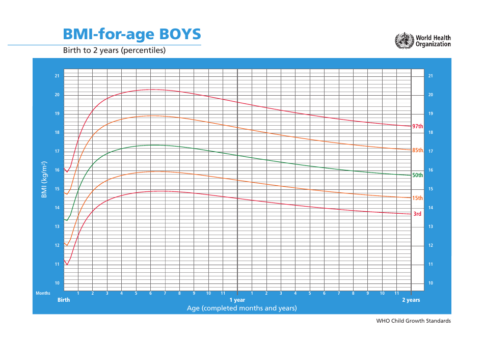 Boys Growth Chart depicts BMI levels for boys from birth to 2 years based on percentiles.