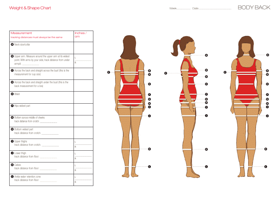 Weight and Shape Tracking Chart Template