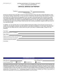 Document preview: Form DDD-1432AFORFF Critical Service Gap Report - Arizona