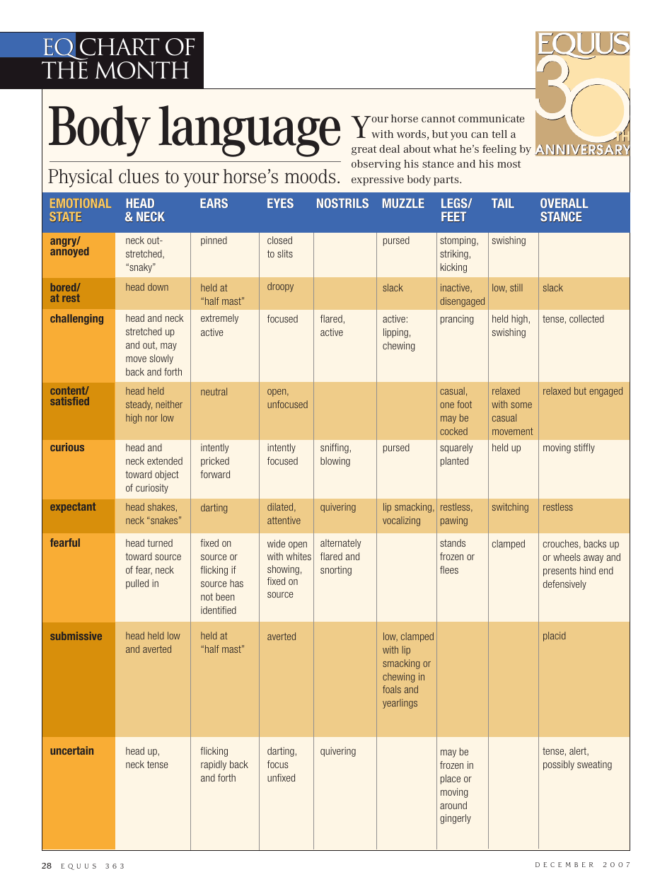 Horse Body Language Chart - Your Horse's Mood