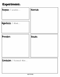 Experiment Observation Template