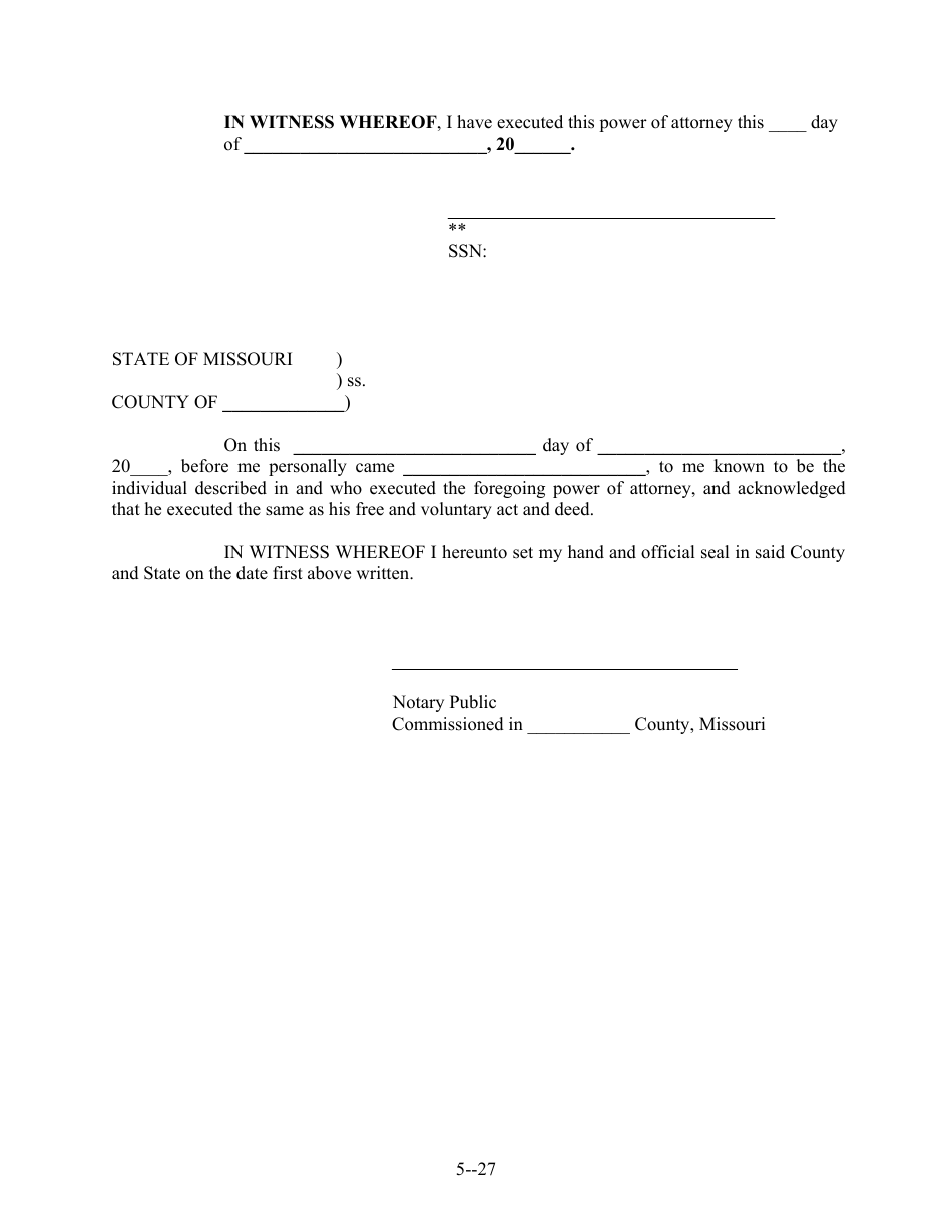 Durable Power of Attorney Template - Missouri, Page 6