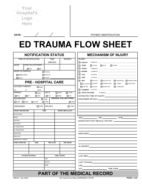 A neatly structured Ed Trauma Flow Sheet Template that ensures organized documentation, providing a systematic listing of key details related to treating trauma patients.