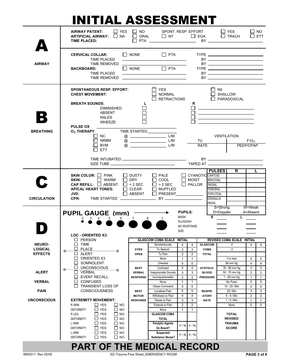 Ed Trauma Flow Sheet Template Download Printable PDF | Templateroller