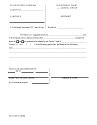 Document preview: Form SCCA491 Affidavit - South Carolina