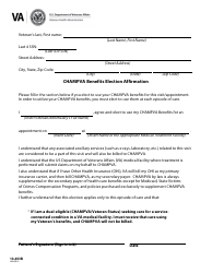 Document preview: VA Form 10-493b CHAMPVA Benefits Election Affirmation