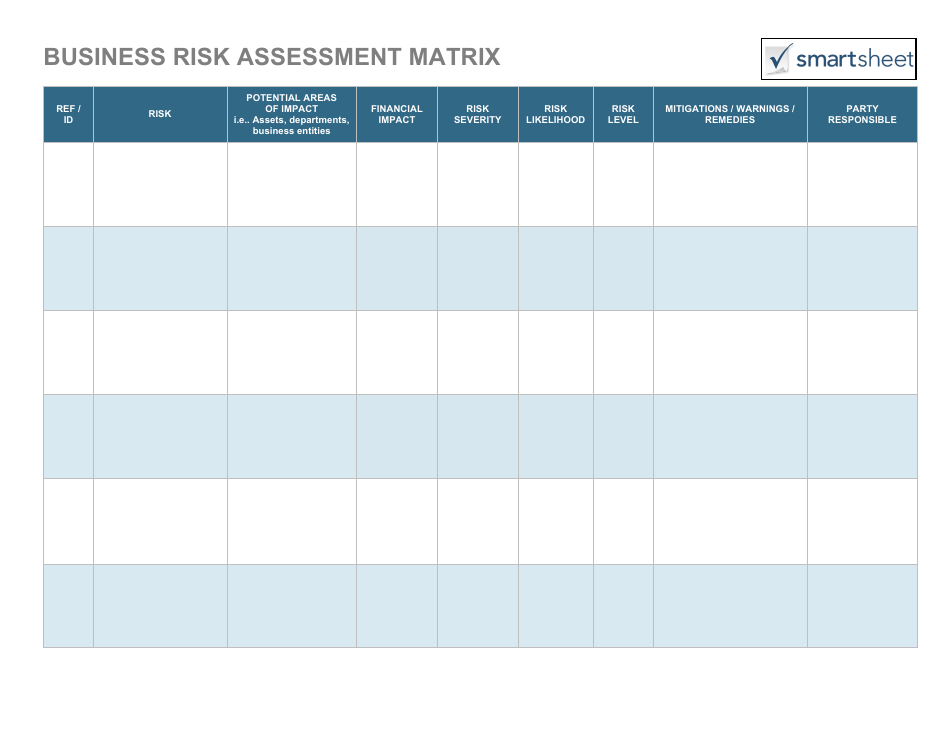Business Risk Assessment Matrix Schedule Template, Page 1