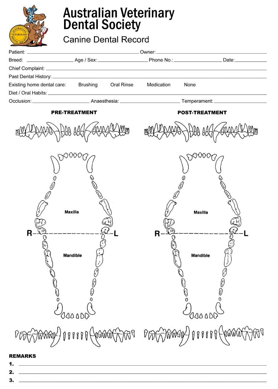 Australia Canine Dental Record Form Australian Veterinary Dental