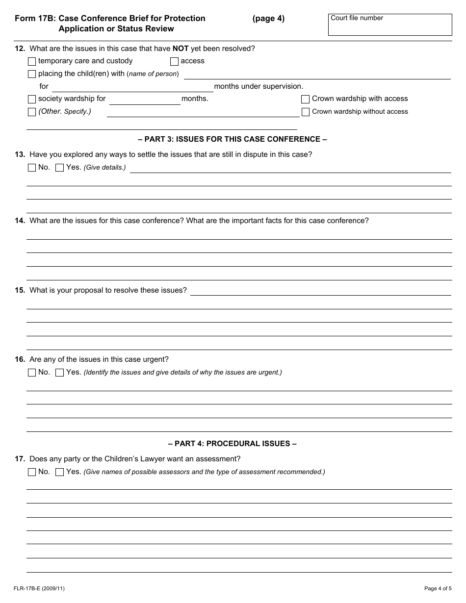 Form 17b Case Conference Brief for Protection Application / Status Review - Ontario, Canada, Page 4