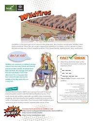 FEMA Wildfire Fact Sheet