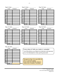 Breastmilk Tracking Chart Template - Mcmaster Children&#039;s Hospital, Page 2