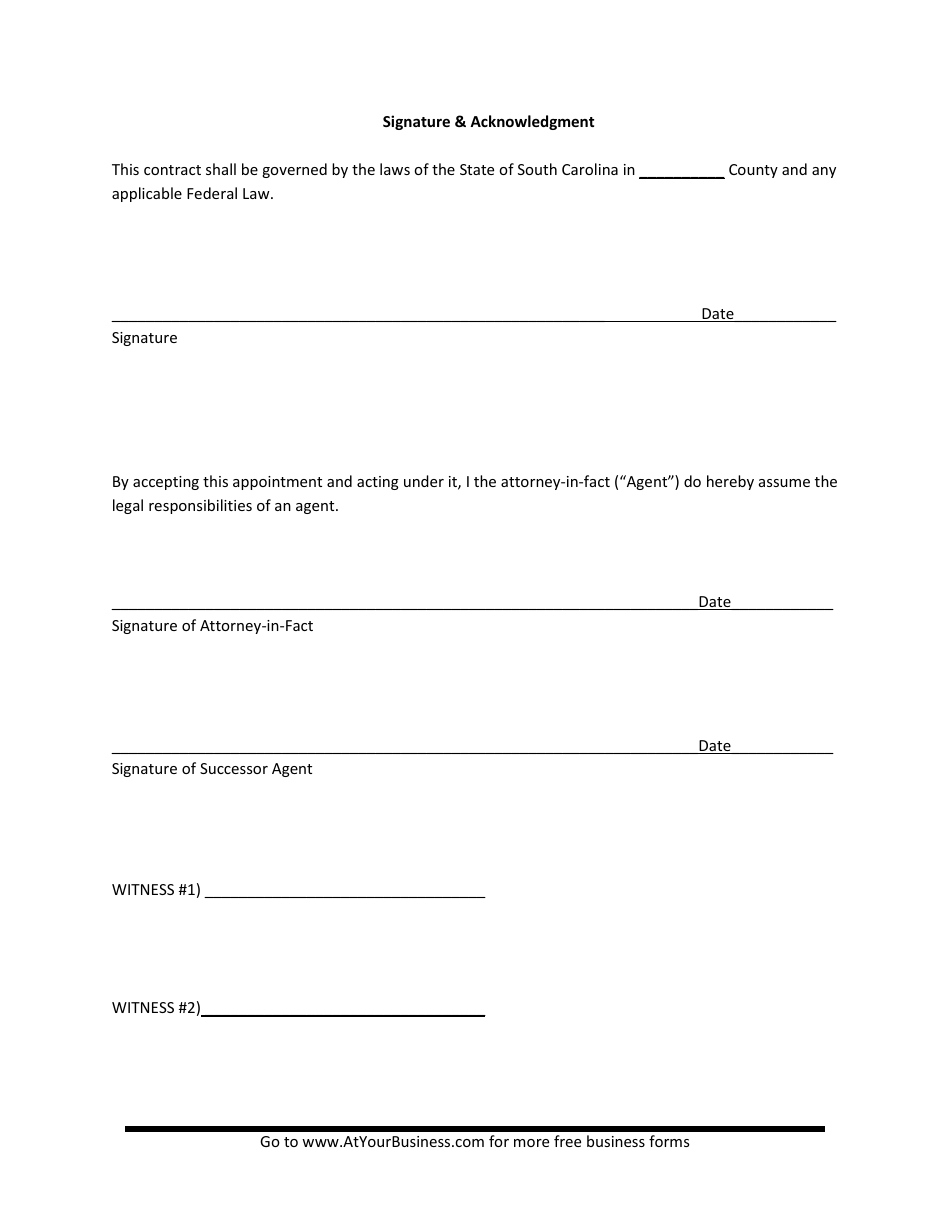 Power of Attorney Form - South Carolina, Page 3