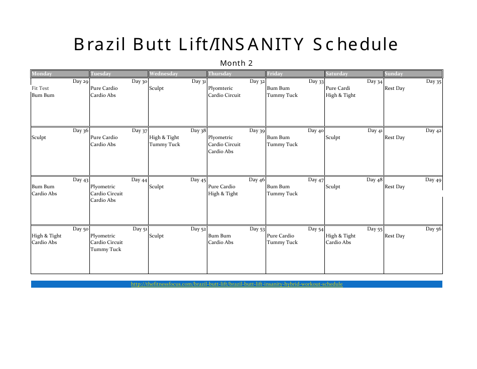 Brazil Butt Lift / Insanity Schedule Template, Page 2