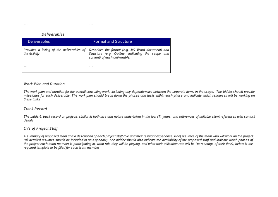 Technical and Financial Proposal Template, Page 3