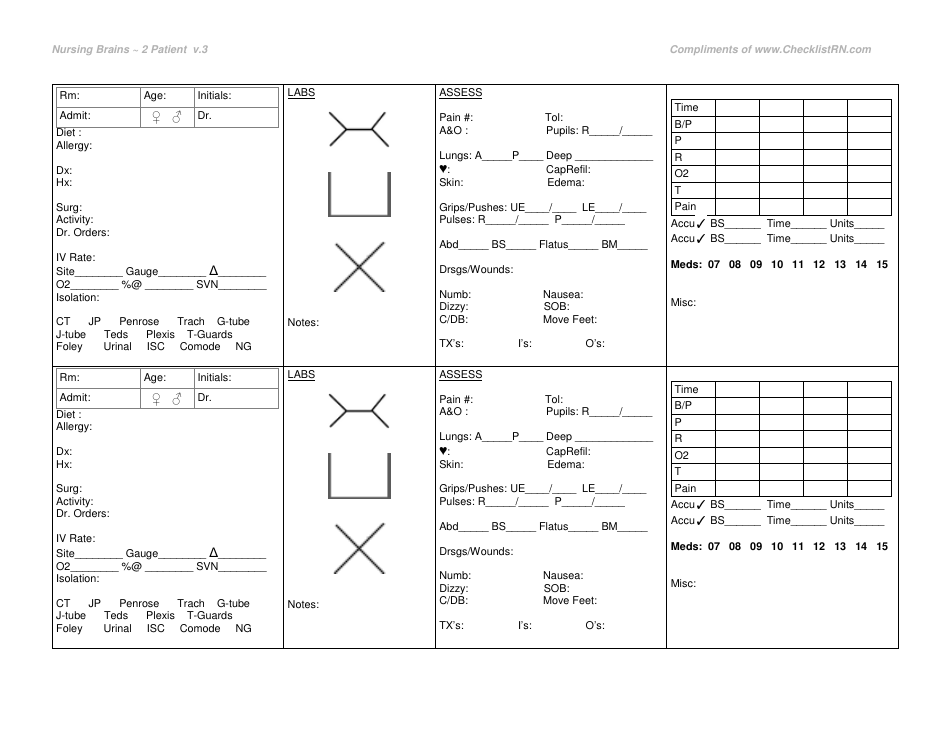 2 Patient Medical Analysis Assessment Form - Nursing Brains - Fill Out ...