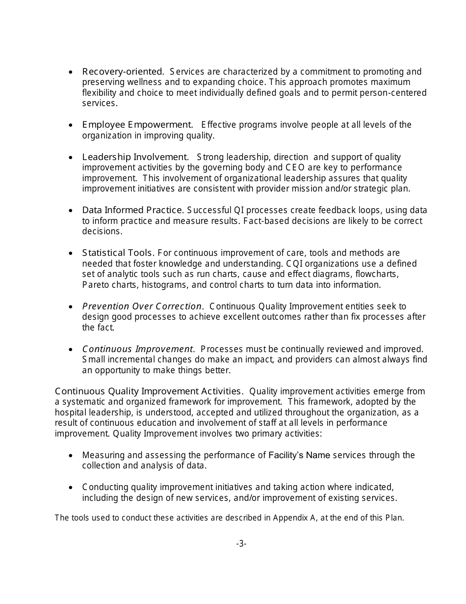 Quality Improvement Plan Template for a Small Facility, Page 3