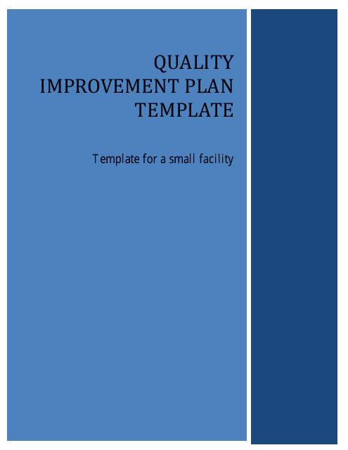 Quality Improvement Plan Template for a Small Facility