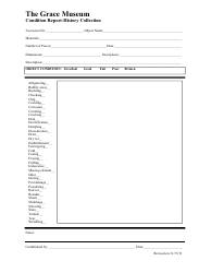&quot;Condition Report Template - History Collection - Grace Museum&quot;