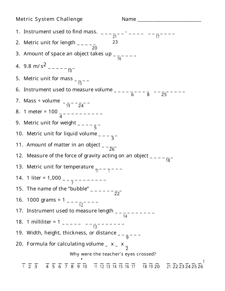 Metric System Challenge Worksheet - Preview
