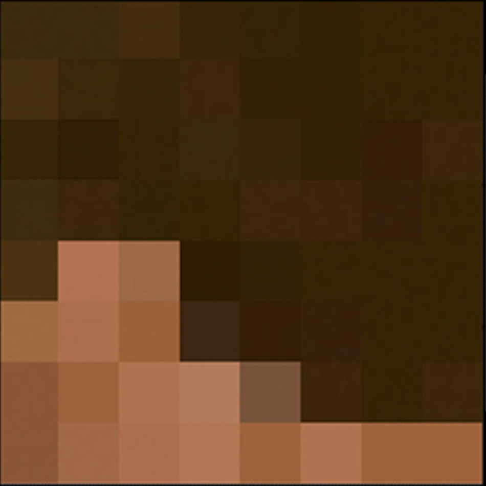 Minecraft Steve Costume Template (Side) Image Preview