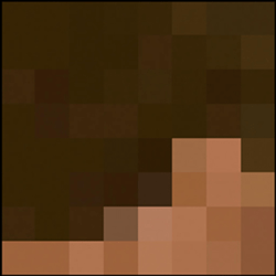 Minecraft Steve Costume Template (Side)
