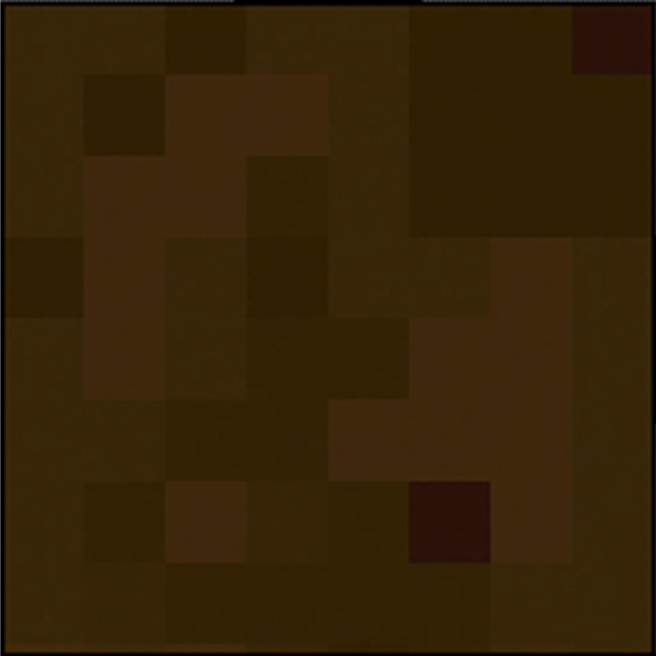 Minecraft Steve Costume Template Back Preview